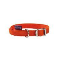 Flex Cat Collar - Orange 30cm