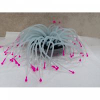 COLORFUL SEA ANEMONE SA01-VR070(P)