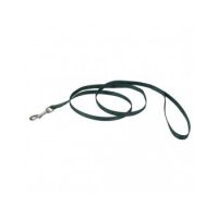 Coastal 3/8" Dog Lead Hunter Green 4 Feet Long 3/8 Wide