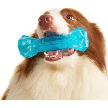  FOFOS Chill & Chew Cooling Bone Dog Toy 