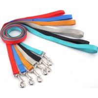 Saas Nylon leash S 1X120CM RED