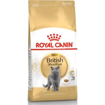  Royal Canin  British Shorthair 10 kg 
