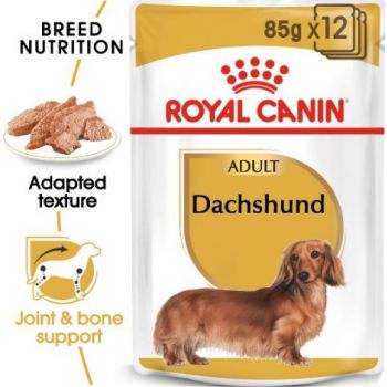  Royal Canin  Dachshund Dog Wet Food 85g (pouches) 