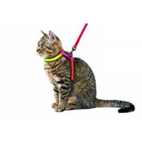 CAT HARNESS RAINBOW 83191