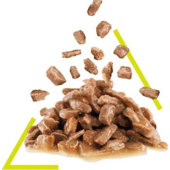  Royal Canin Sensory Smell Gravy (WET FOOD - POUCHES) 12 x 85g 