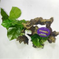 YUSEE AQUARIUM DECORATION YS-19513