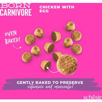  Schesir Born Carnivore Grain Free Oven Baked Dry Cat Chicken & Egg - Kitten 1.25kg 