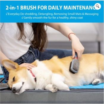  Double-Sided Brush Nylon Bristles & Pins for Dogs and Cats 