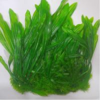 Sea Star Aquarium Plant PLT1306L