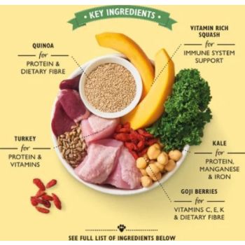  Lily's Kitchen Lean Machine Wet Dog Food Turkey/150G 