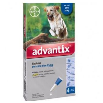  Advantix Spot On Advantix Dogs over 25 kg 4 pipettes 4 ml 