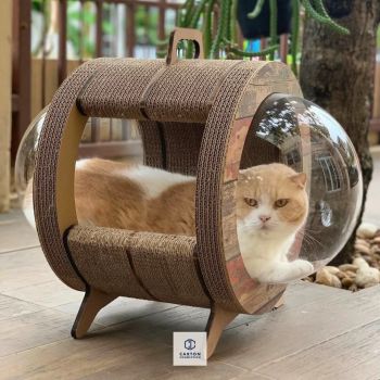  Kitty Space Capsule 