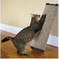 Omega Paw Lean It Scratching Post 26 inches (66cm) - Wide