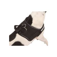 HARNESS MAESTRO 1.0 81070