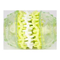 PAWSITIV DENTAL TOY WITH 3 LAYERS - GREEN
