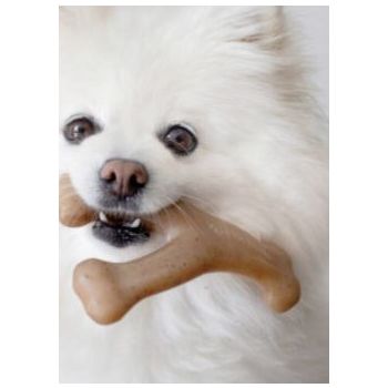  Benebone Wishbone Dog Chew Toy – Bacon Medium 