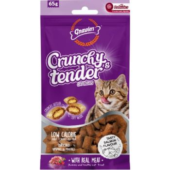  Gnawlers Crunchy & Tender Cat Treats 65g - Salmon Flavour 