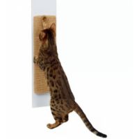 SCRATCH. BOARD MILA 82657