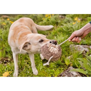  PLAY  Forest Friends Hamilton the Hedgehog Dog Toys 