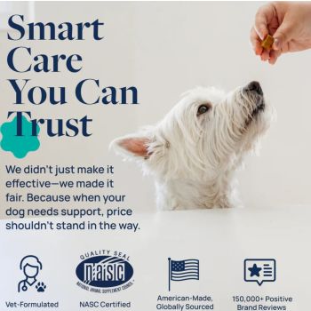  Synergy Labs Veterinary Formula Gut Health Formulated Probiotic Chews Supplement for Dogs – 225g [Count - 60] 