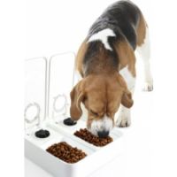 DOUBLE TIMER FEEDER