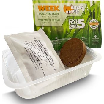  Erba Piu Week Soil and Seeds Kit for Cat Grass 