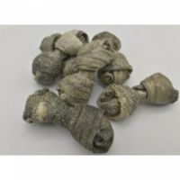 Salmon 4 Pets Fish Knotted Bone For Dogs 70g