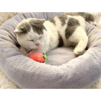 Petbroo Round Cushion Beds 50cm Grey
