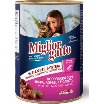  Miglior Gatoo Small Chunks with Tripe, Lamb And Carrots Cat Wet Food, 405g 