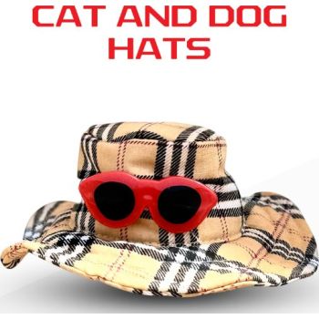  SAAS Pet Hat with Glass Medium 