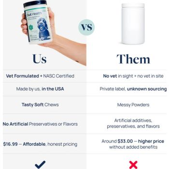  Synergy Labs Veterinary Formula Gut Health Formulated Probiotic Chews Supplement for Dogs – 225g [Count - 60] 