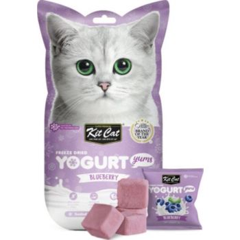  Kit Cat Freeze Dried Yogurt Yums – Blueberry 10G 