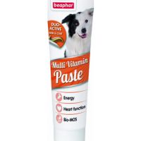 BEAPHAR DUO ACTIVE PASTE MULTIVITAMIN DOG 100G