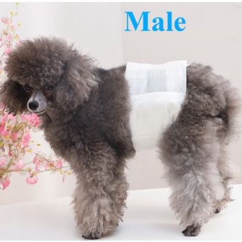  Pakeway Male Dog Pet Diaper-Large (35-58Cm)-12pcs/pack 