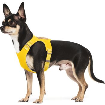  Panda  Cartoon Pattern Harness Lion XXS Blue 